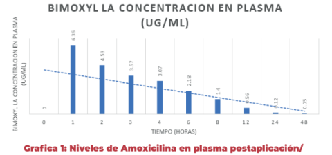 Bimoxil LA en Porcicultura: Eficacia y Uso Responsable