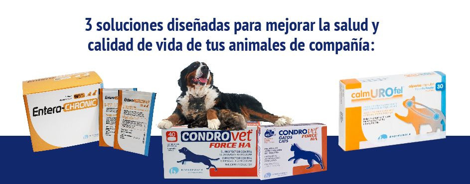 perro junto a productos entero-chronic, condrovet y calmurofel